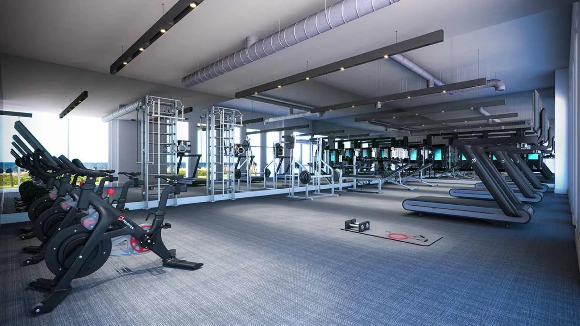 OwnersLoungeGym